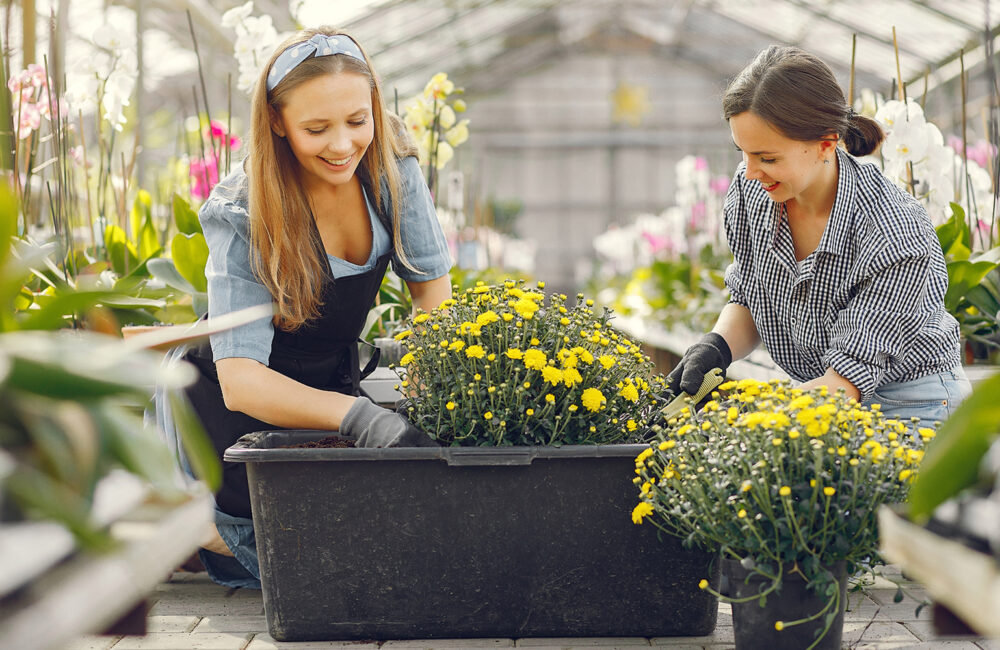 Maximizing Small Spaces for Big Garden Yields