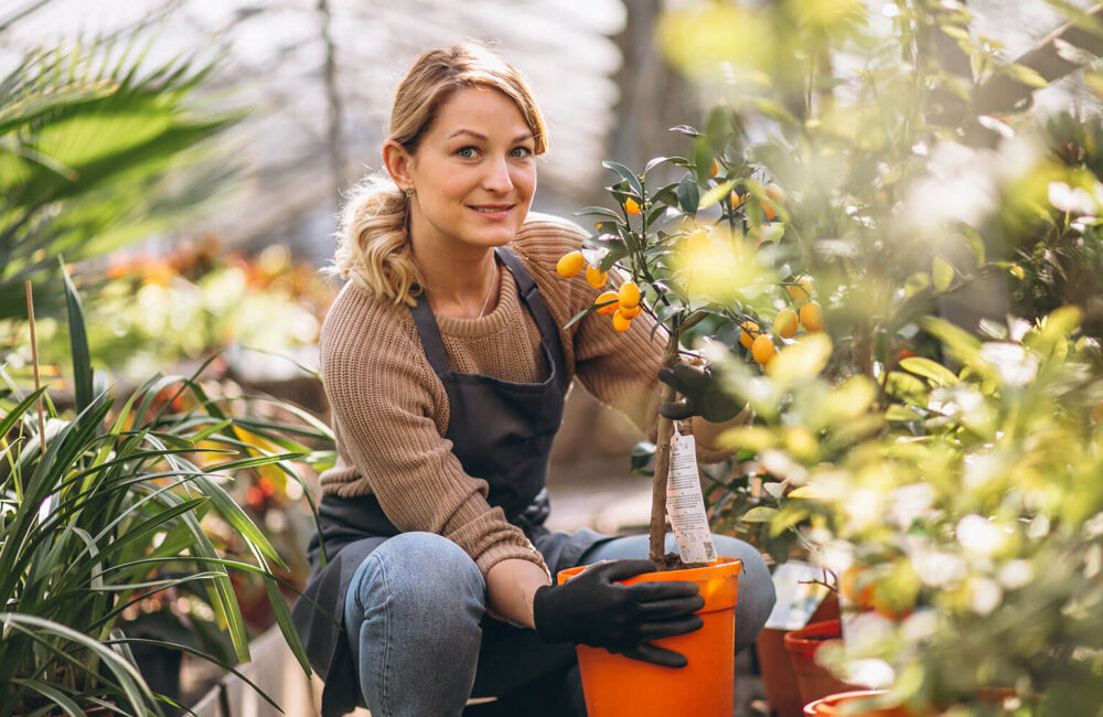 Top Tips for Growing a Healthy Garden