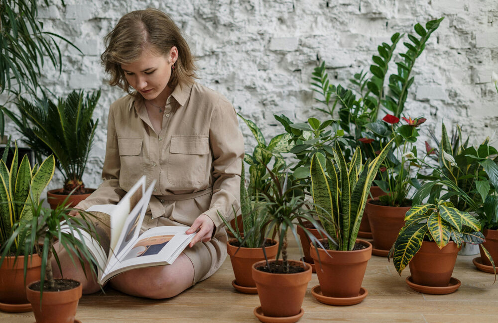 Organic Gardening Techniques for Beginners