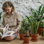 Organic Gardening Techniques for Beginners